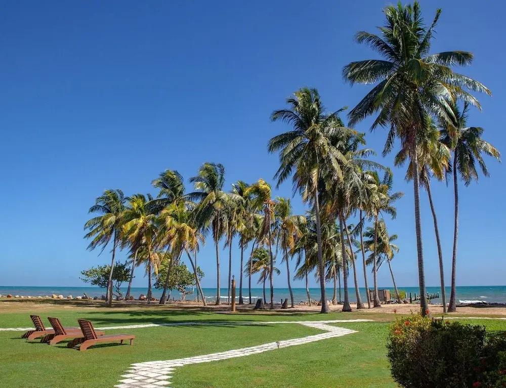 фото Pelican Beach Resort