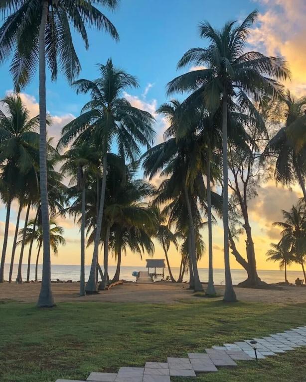 фото Pelican Beach Resort