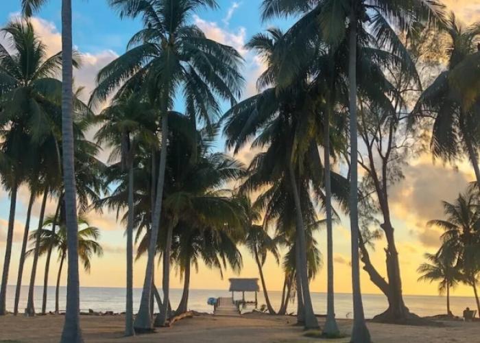 Pelican Beach Resort