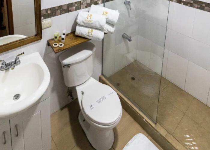 Hotel Boutique Castilla de Leon