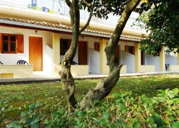 Anemona Studios