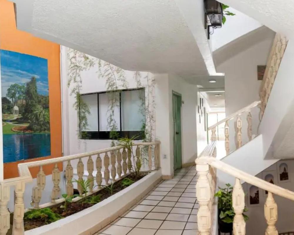 фото Hotel Cisne
