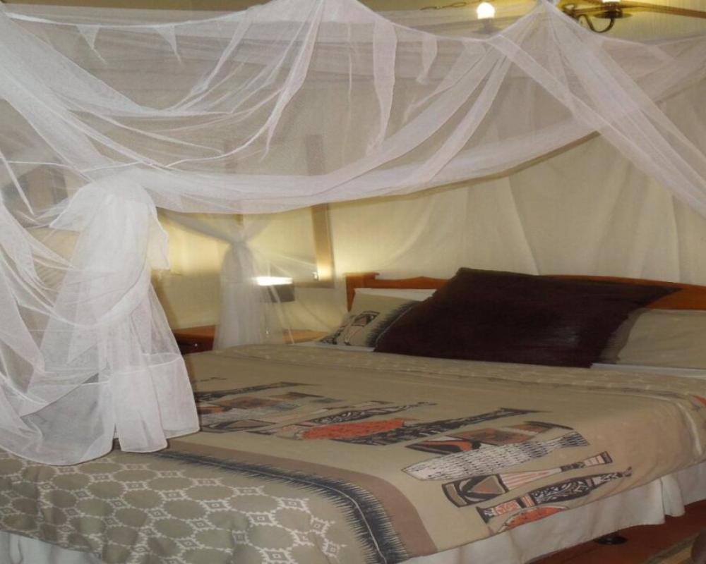 Trees Too Guest Lodge