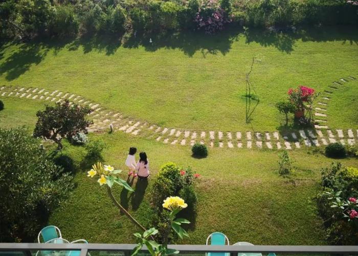 The Tree Bed and Breakfast