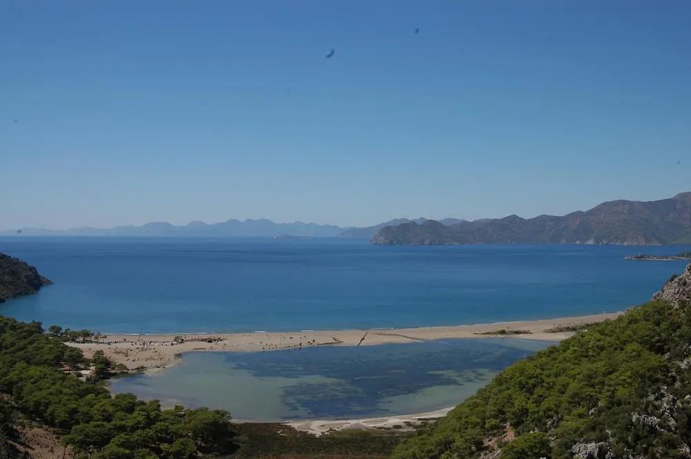 фото Minta Apartments