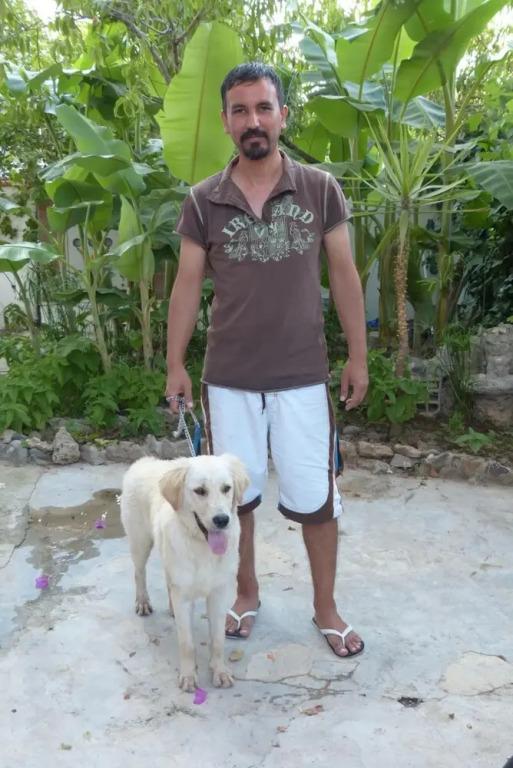 фото Yakut Apart Hotel