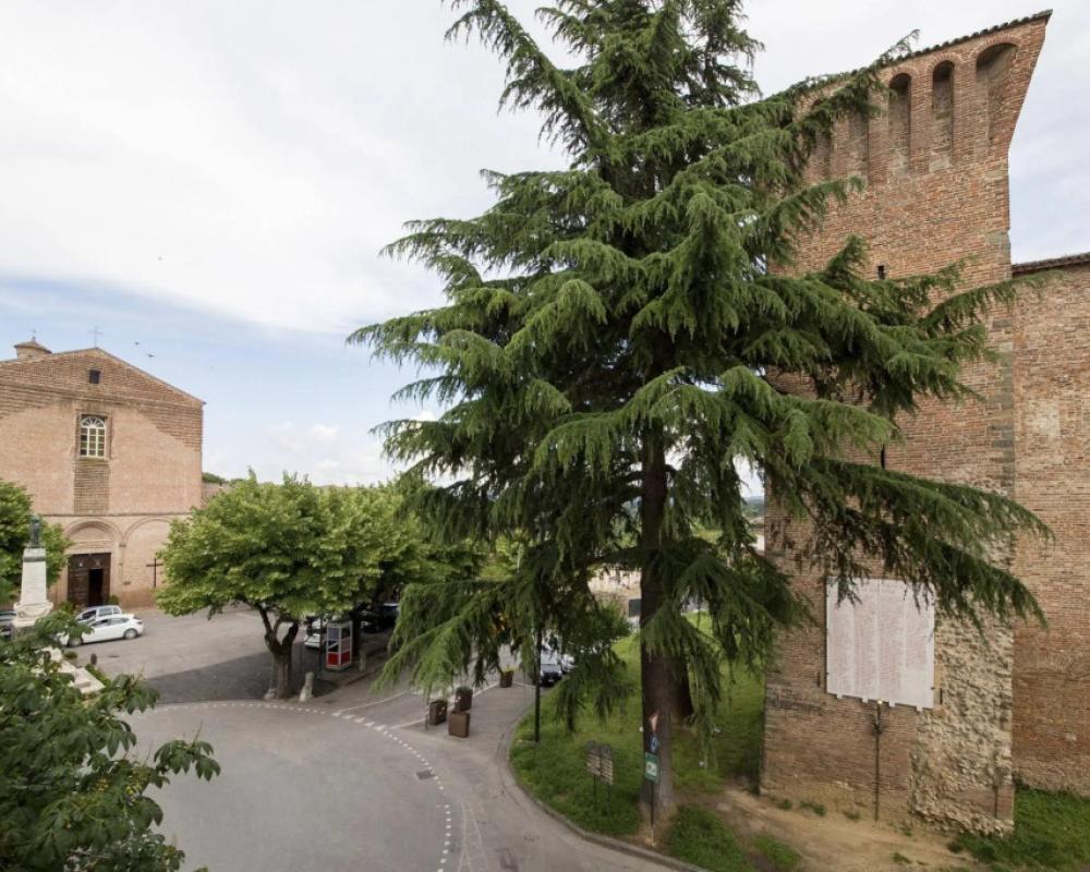 B&B La Vecchia Tenenza