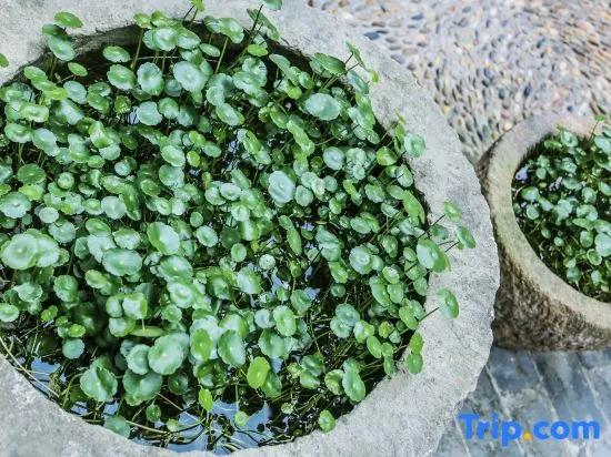 Wuzhen Jinye House