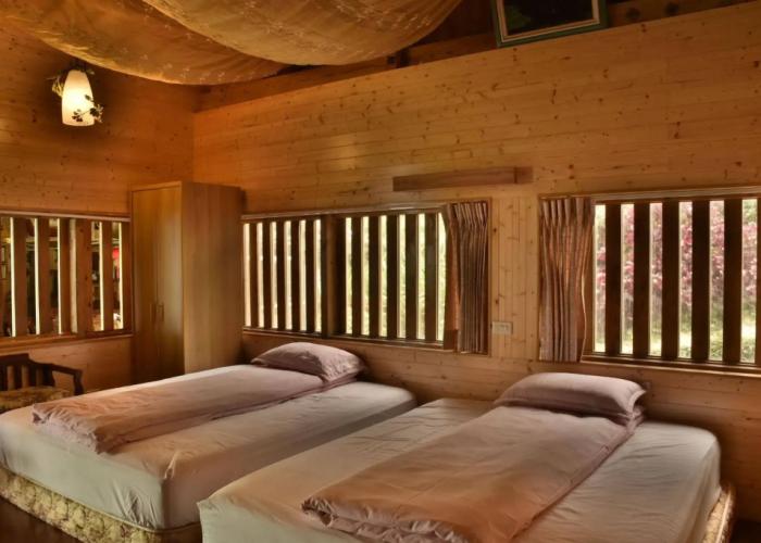 Alishan B&B Yunmingi Aliscenery