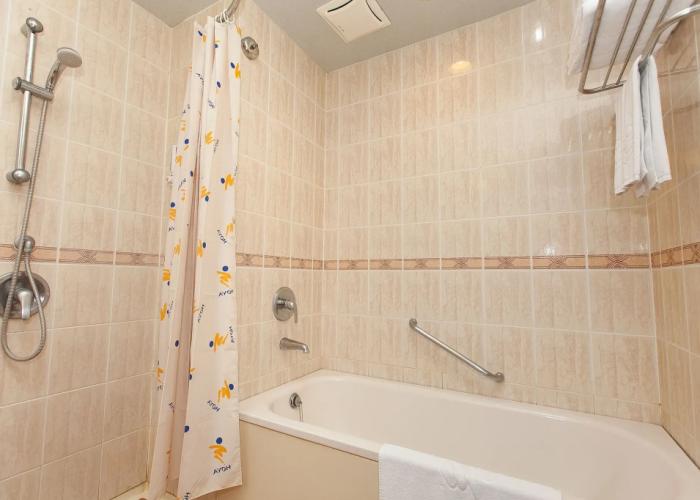 Hoya Hot Springs Hotel