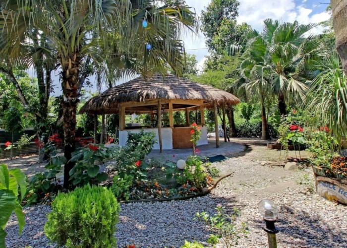Eden Jungle Resort