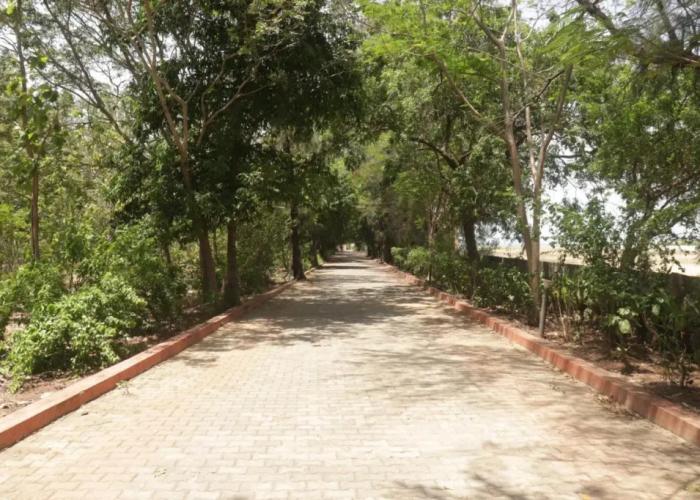 Golden Sun Beach Resort
