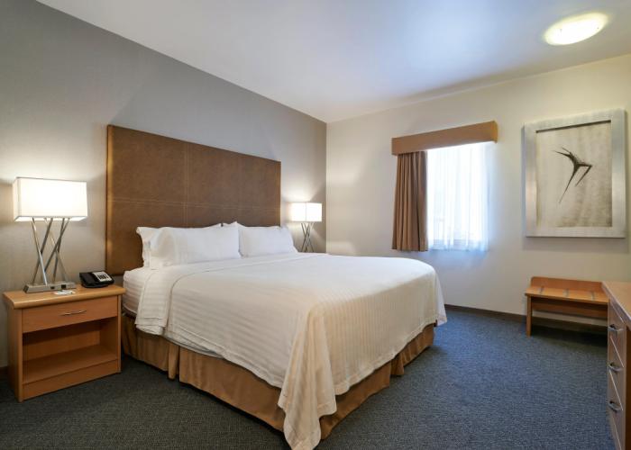 Holiday Inn Hotel & Suites Chihuahua by IHG