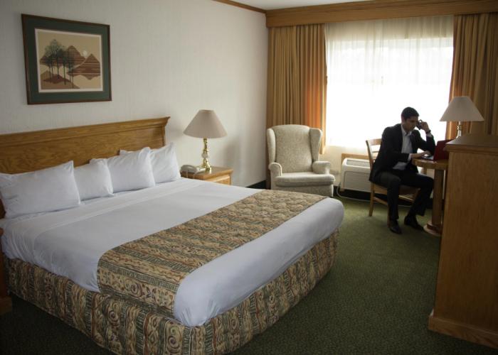 Hotel Sicomoro