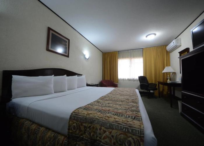 Hotel Sicomoro