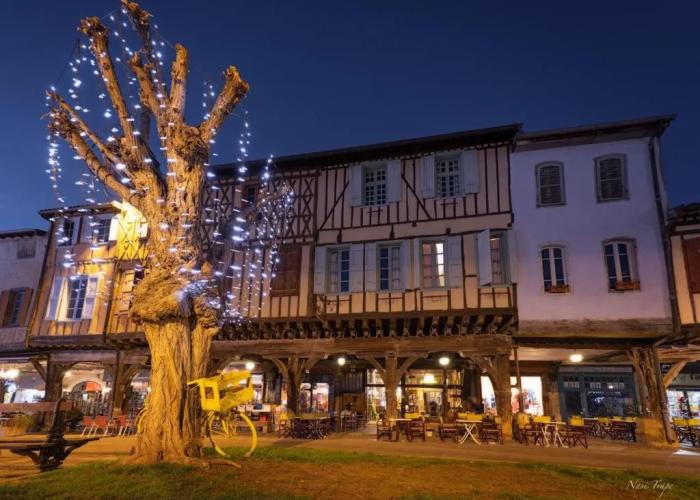 La Maison des Consuls