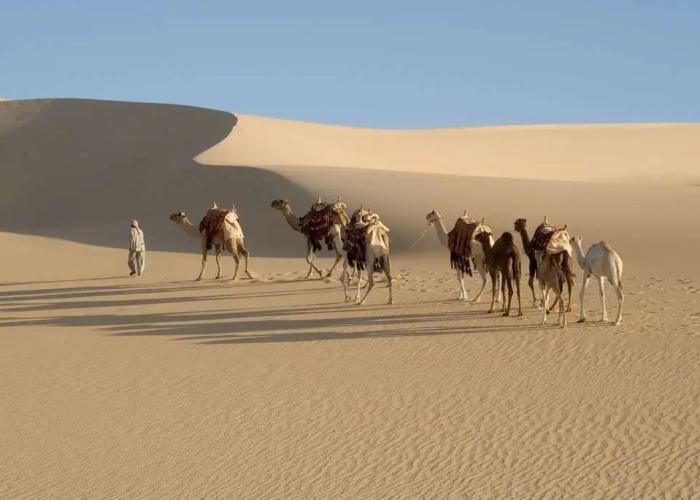 Taziry Ecovillages Siwa