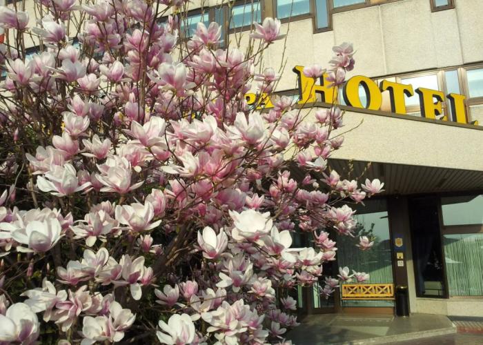 Hotel Saccardi & Spa - Adults Only