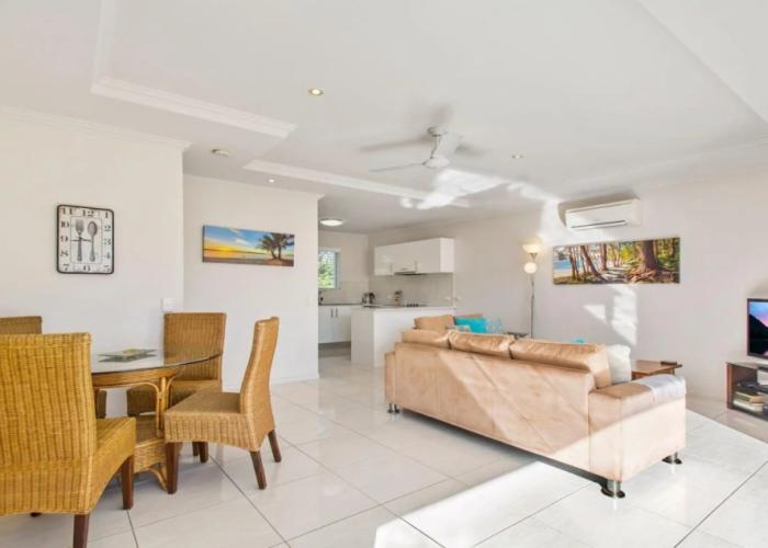Noosa River Palms