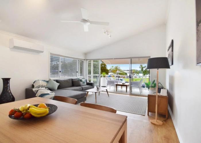 Noosa River Palms