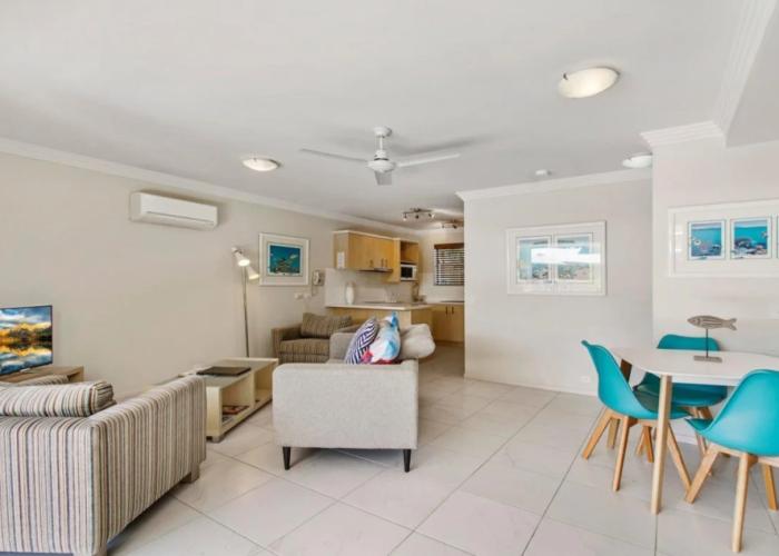 Noosa River Palms