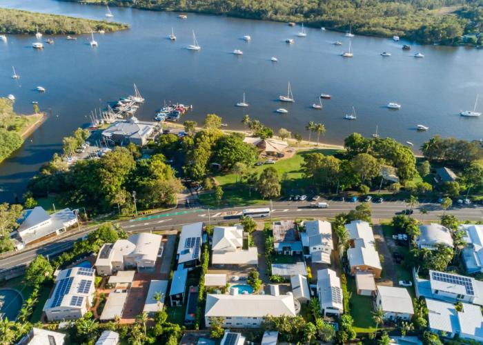 Noosa River Palms