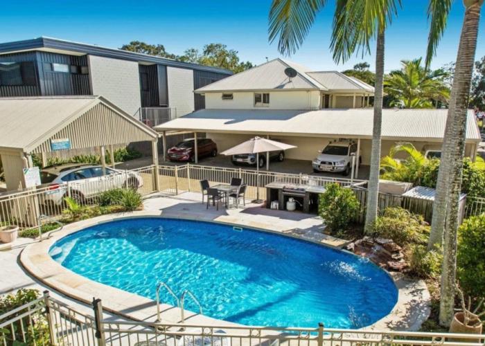 Noosa River Palms