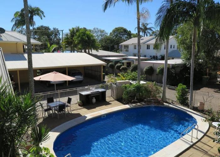 Noosa River Palms
