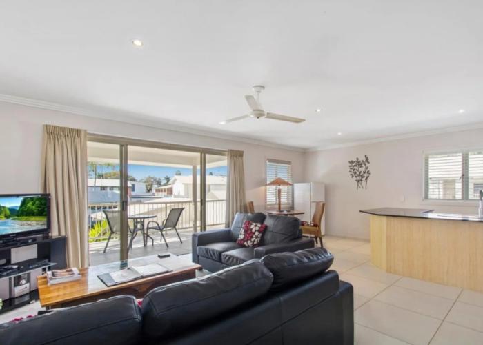 Noosa River Palms