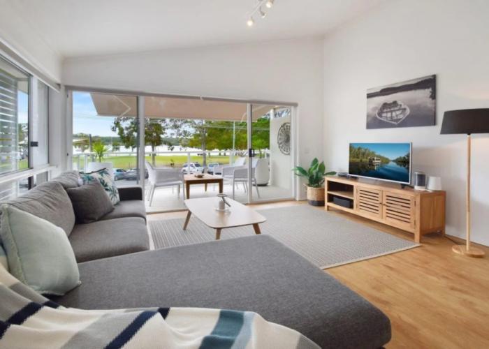 Noosa River Palms
