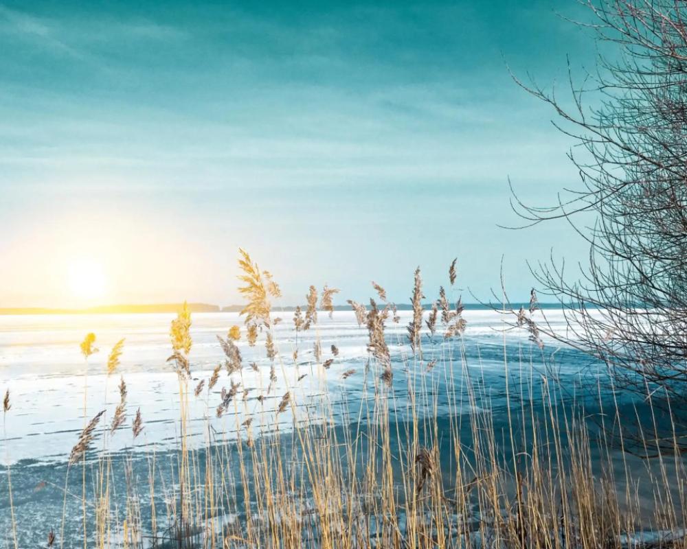 фото Robinson Fleesensee