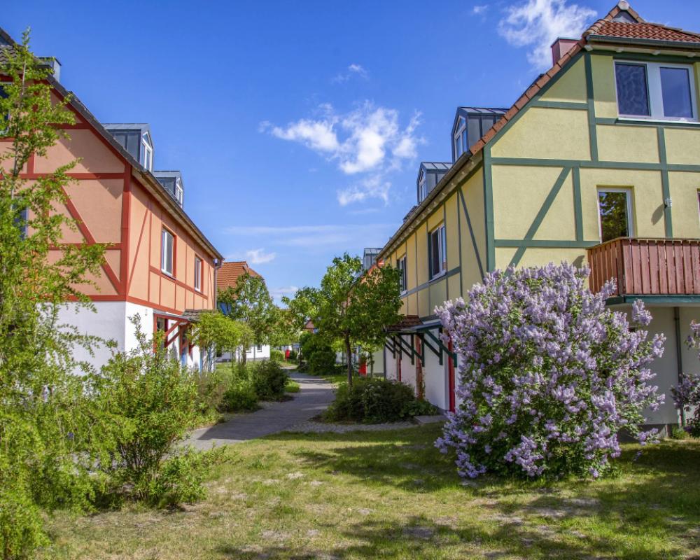 фото BEECH Resort Fleesensee