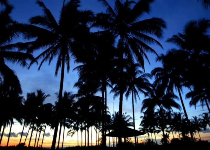 The Acacia Hotel Anyer