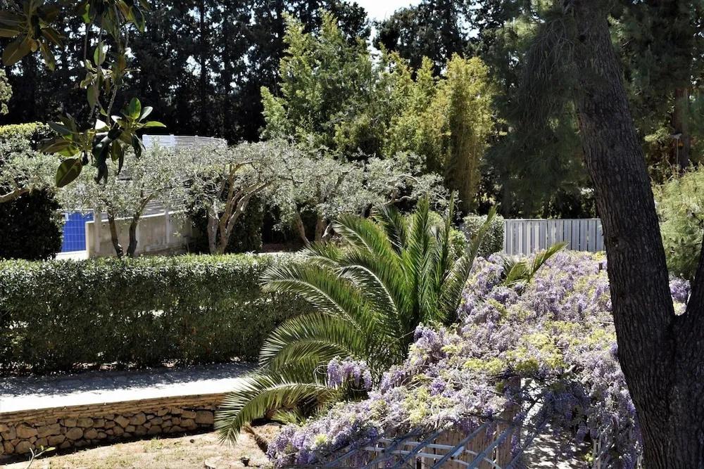 фото Villa Aurea