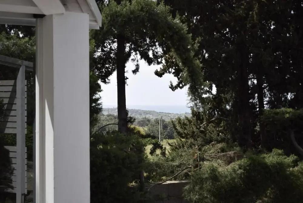 фото Villa Aurea