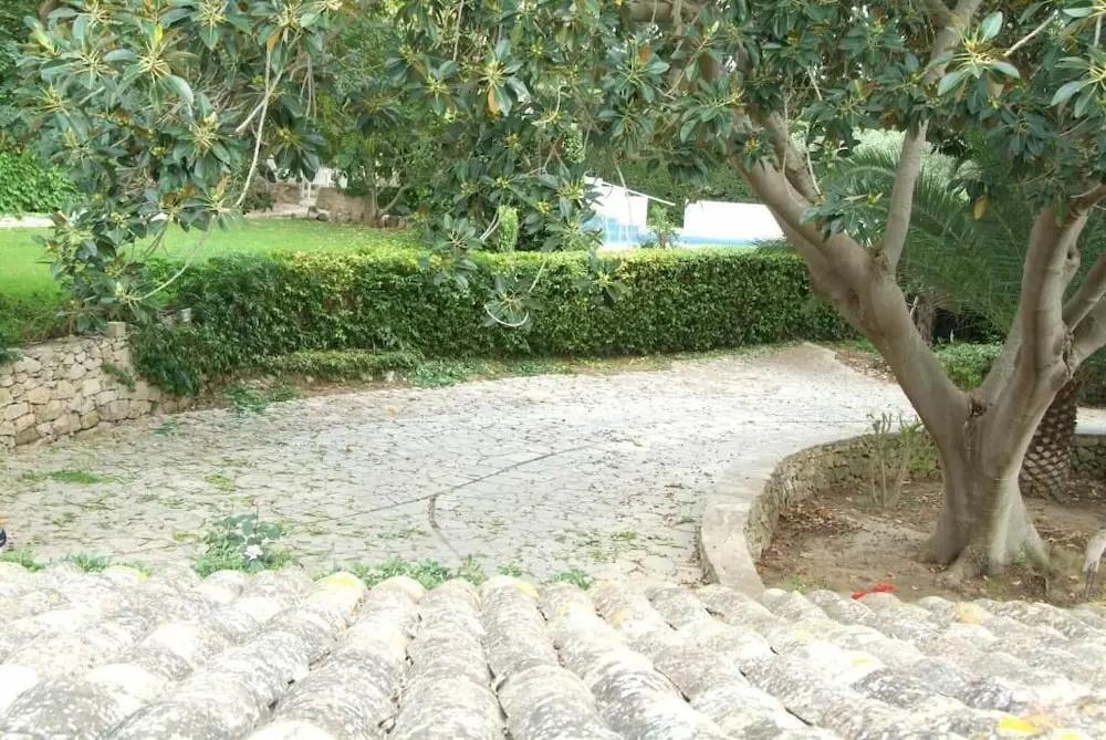 фото Villa Aurea