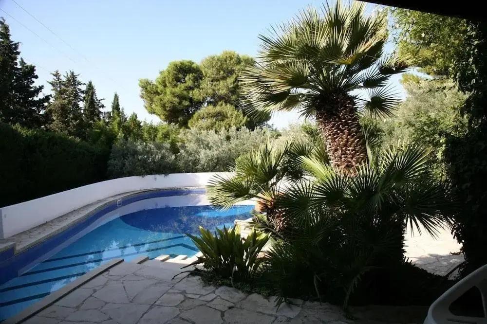 фото Villa Aurea