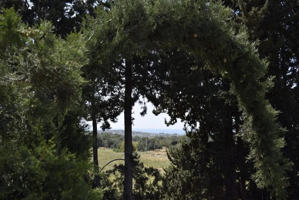 фото Villa Aurea