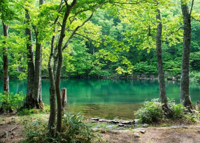 Senkeien Tsukioka Hotel