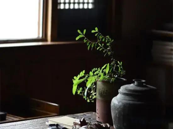 Onlyhere·Qishu (Hongcun Branch)