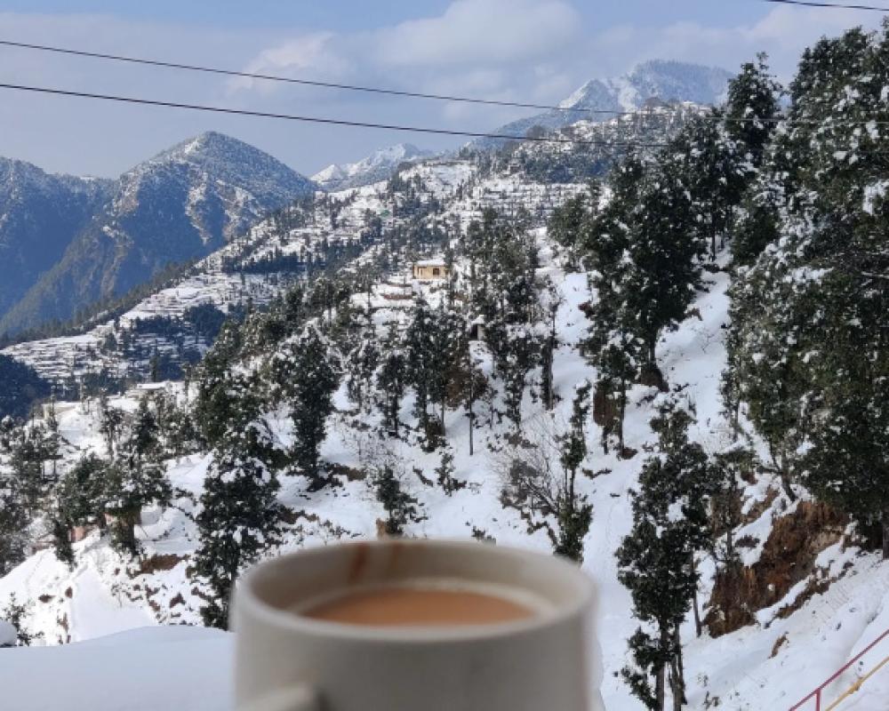 фото Dev Bhoomi Resort