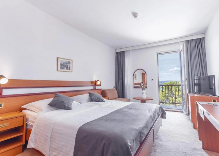 Hotel Horizont