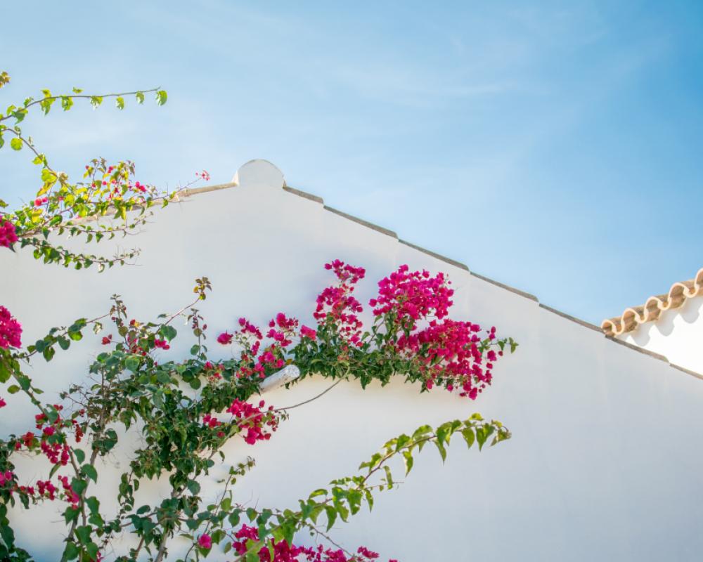 Torralbenc, a Small Luxury Hotel of the World