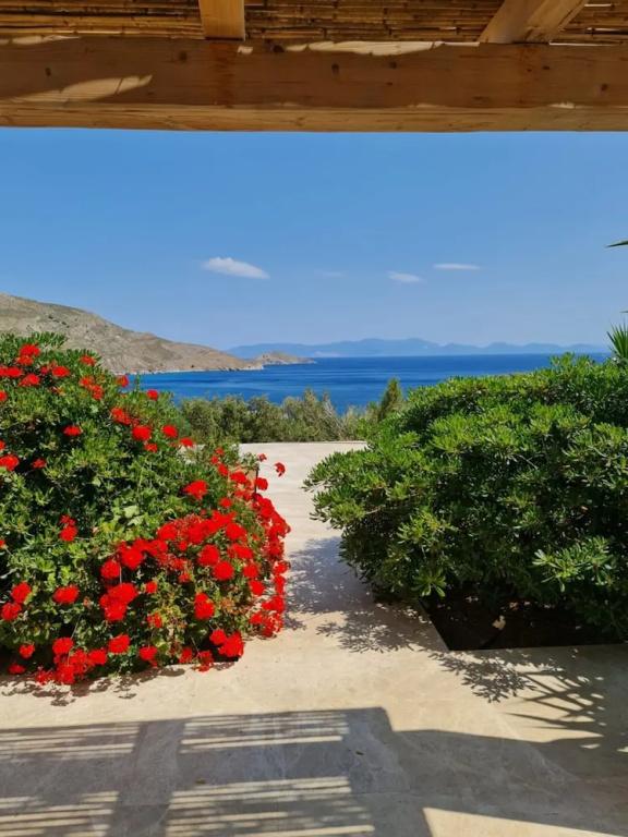 фото Tilos Villa