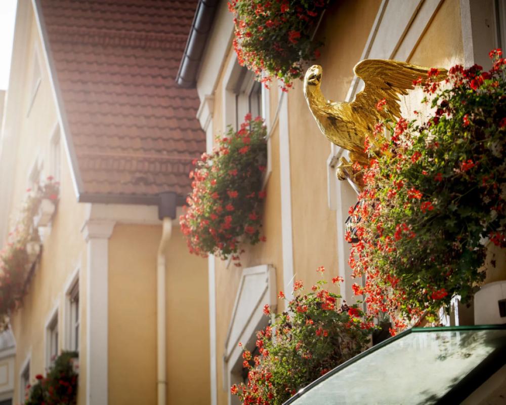 фото Hotel Adler