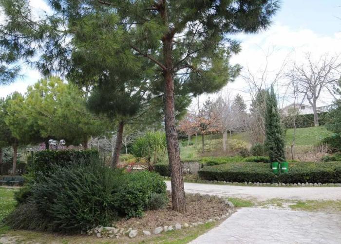 Albergo Degli Amici