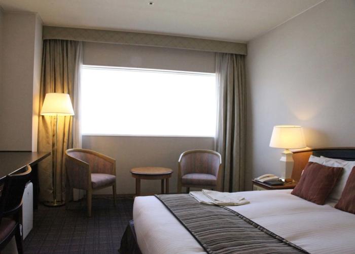 Hotel Nikko Himeji