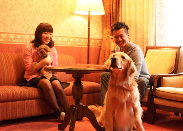 Izumigo Takayama Dog Paradise Hotel