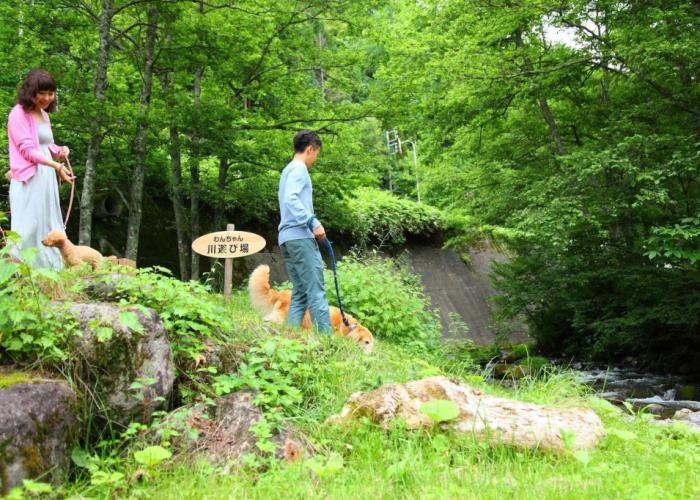 Izumigo Takayama Dog Paradise Hotel