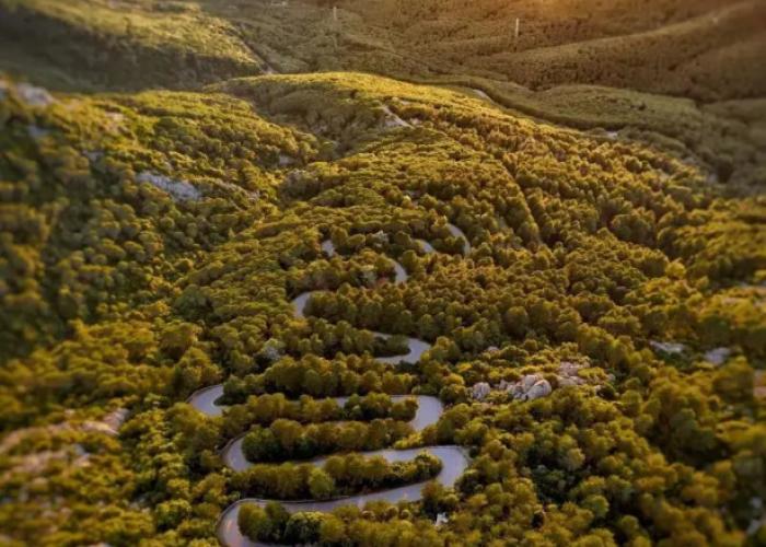 Vallicciola Monte Limbara Nature Hotel